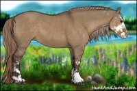 Horse Color:Liver Red Dun Sabino