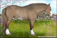 Horse Color:Liver Red Dun Sabino Rabicano