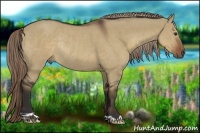 Horse Color:Liver Red Dun Rabicano 