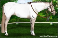 Horse Color:Liver Chestnut Pearl Appaloosa