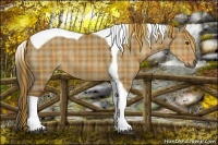 Horse Color:Plaid  Liver Red Dun Tobiano 