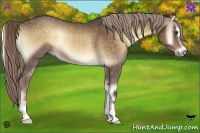 Horse Color:Chocolate Palomino Onyx Sabino Rabicano
