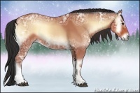 Horse Color:Bay Ice Onyx 