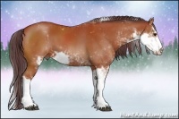 Horse Color:Chocolate Brown Sabino 