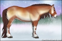 Horse Color:Chocolate Bay Onyx Sabino