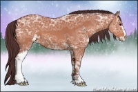 Horse Color:Chocolate Bay Ice Sabino 