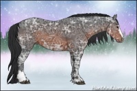 Horse Color:Brown Ice Sabino