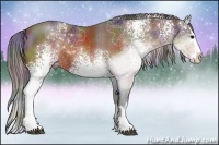 Horse Color:Nacre White Spotted Brown Sabino Splash