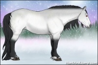 Horse Color:Brown Chinchilla Rabicano