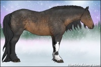Horse Color:Brown 