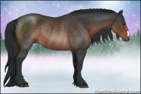 Horse Color:Brown Rabicano 