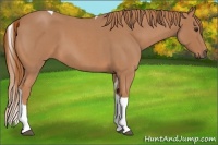 Horse Color:Red Roan Tobiano 
