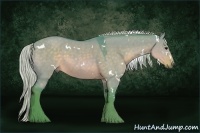Horse Color:Watercolor White Spotted Silver Brown Dun