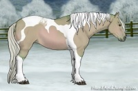Horse Color:Watercolor Silver Bay Dun Tobiano 