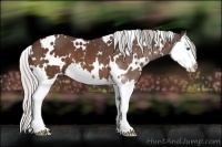 Horse Color:White Spotted Silver Bay Splash 