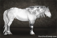 Horse Color:White Spotted Silver Brown Chinchilla Dun 