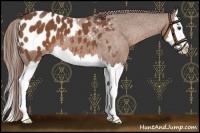 Horse Color:Chestnut Sabino Splash Blanket 