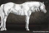 Horse Color:White Spotted Silver Smoky Creme Chinchilla Ice Tobiano