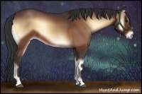 Horse Color:Bay Onyx 
