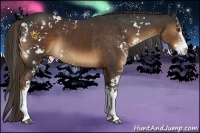 Horse Color:Liver Chestnut Sabino 