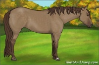 Horse Color:Liver Red Dun 