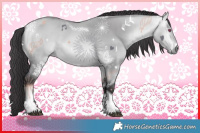 Horse Color:Buckskin Chinchilla Dun Sabino Tobiano 