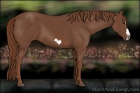 Horse Color:Chestnut Splash Frame 