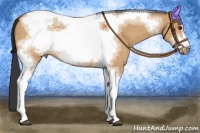Horse Color:Bay Dun Tobiano Frame 