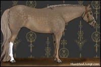 Horse Color:Chocolate Palomino 