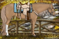 Horse Color:Palomino