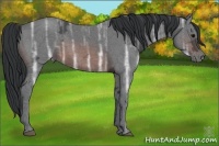 Horse Color:Brown Ice 