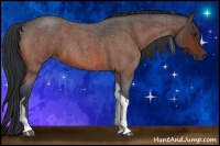Horse Color:Bay Roan Tobiano