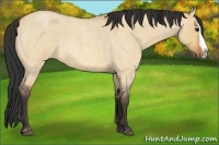 Horse Color:Bay Roan Dun Splash 