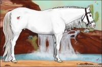 Horse Color:Liver Red Dun Appaloosa 