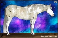 Horse Color:White Spotted Chocolate Palomino Ice Dun Sabino Splash 