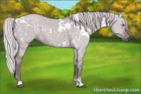 Horse Color:White Spotted Chocolate Silver Grullo Chinchilla Sabino