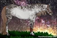 Horse Color:Liver Chestnut Ice Sabino 