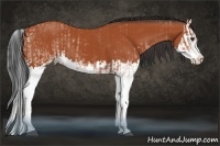 Horse Color:White Spotted Bay Splash  and Bay Splash 