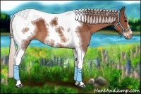 Horse Color:Chocolate Silver Brown Sabino Tobiano Frame 