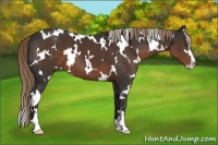 Horse Color:White Spotted Liver Chestnut Sabino 