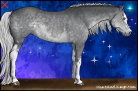 Horse Color:White Spotted Silver Black Chinchilla 