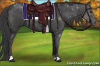 Horse Color:Smoky Black 