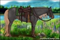 Horse Color:Liver Red Roan 