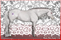 Horse Color:White Spotted Chocolate Silver Black Chinchilla Pearl 