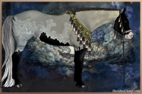 Horse Color:Grullo Ice Sabino Splash