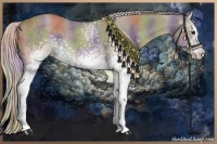 Horse Color:Nacre White Spotted Silver Smoky Grullo 