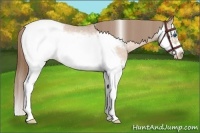 Horse Color:Bay Roan Pearl Splash Frame Appaloosa