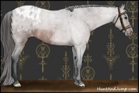 Horse Color:Brown Roan Varnish 