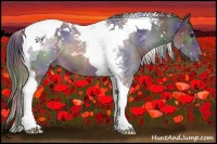 Horse Color:Nacre Brown Tobiano 