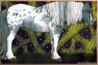 Horse Color:Watercolor Black Tobiano Varnish Rabicano 